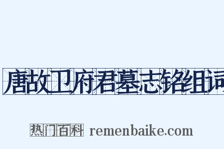 唐故卫府君墓志铭组词是什么意思的图片